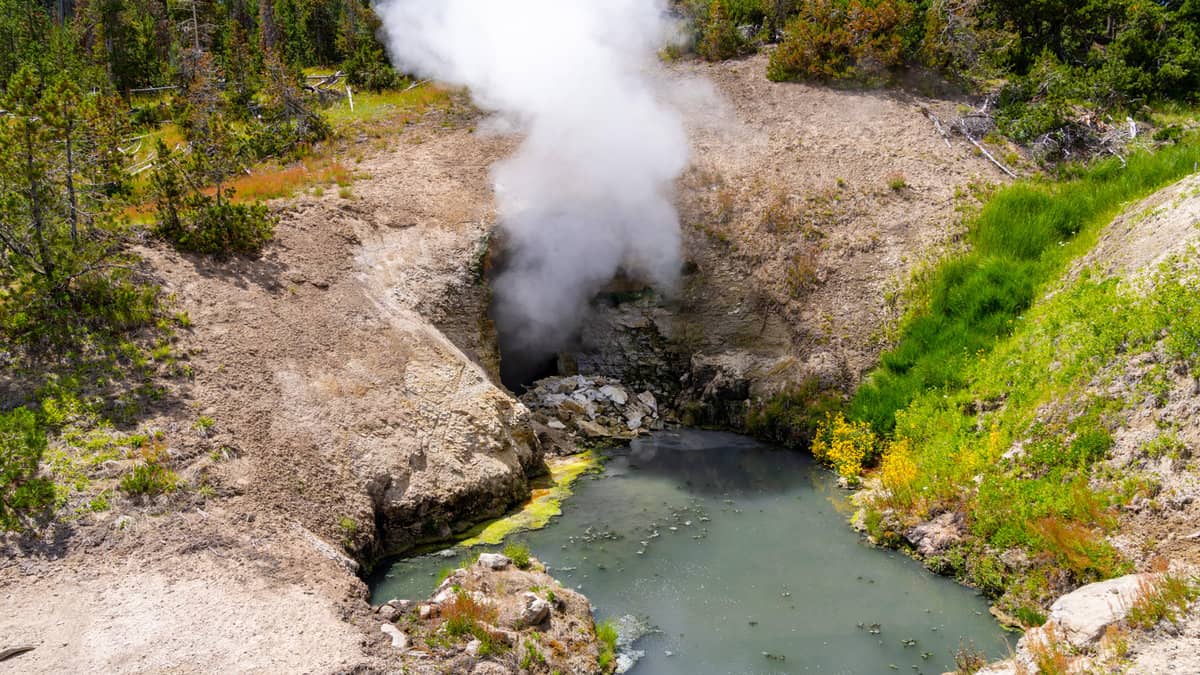 Dragon Mouth Spring geothermal feature in Yellowstone National Park