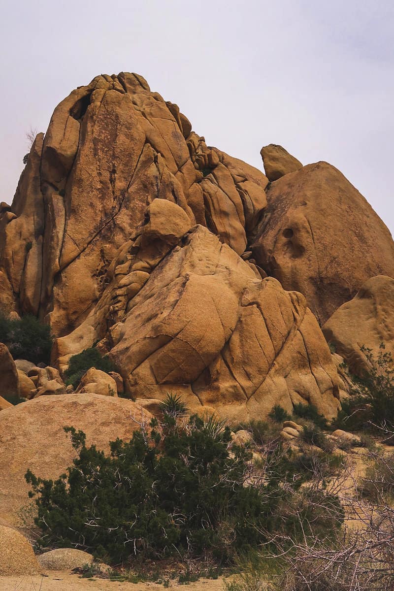 Exploring, camping, and hiking on rock formations by Jumbo Rocks Campground in Joshua Tree National park high desert.