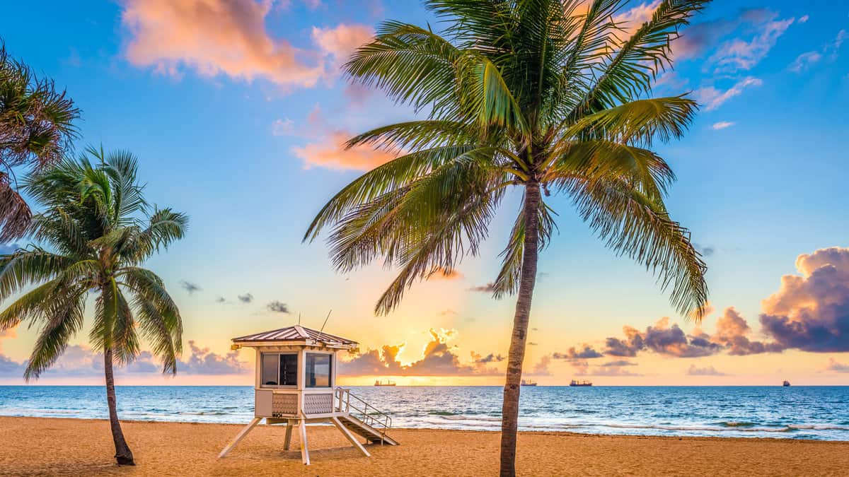 Fort Lauderdale beach morning sunrise in Florida USA palm trees.