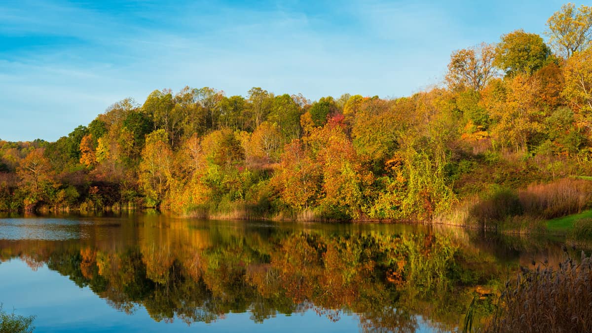 Indigo Lake in Cuyahoga Valley National Park between Cleveland and Akron Ohio reflecting autumn colors
