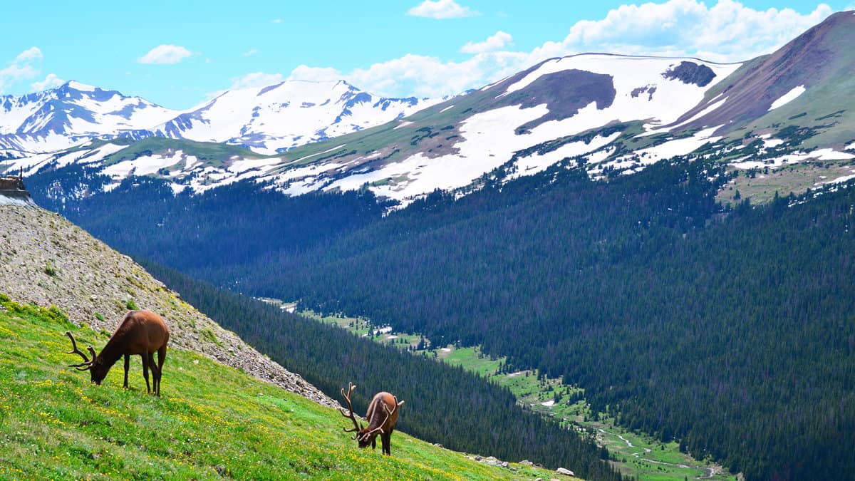 Rocky Mountain National Park 1600x900