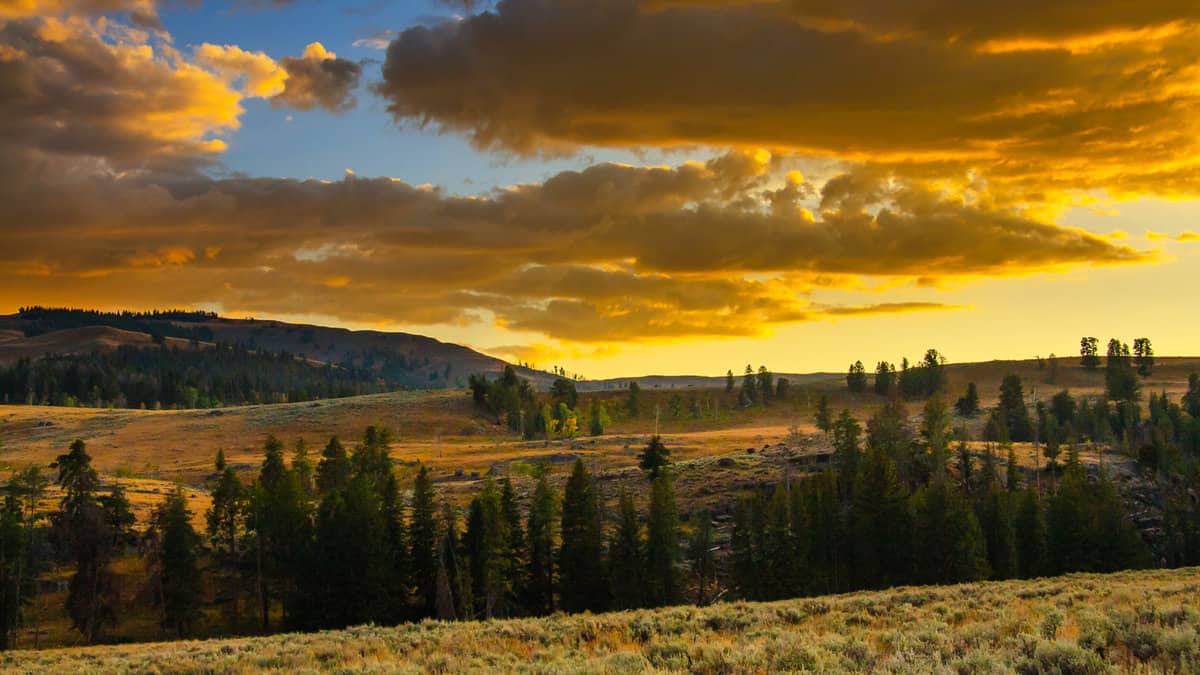Sunset at Lamar Valley, Yellowstone National Park1600x900