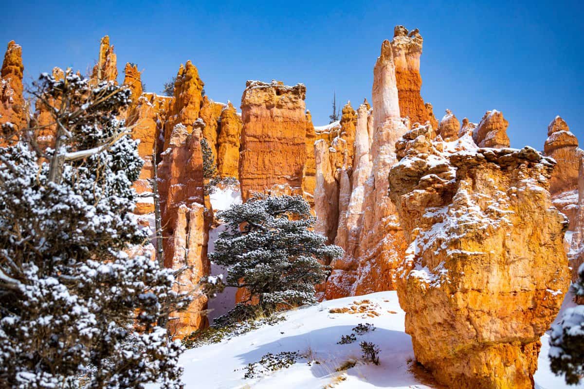 Bryce Canyon in the snow
