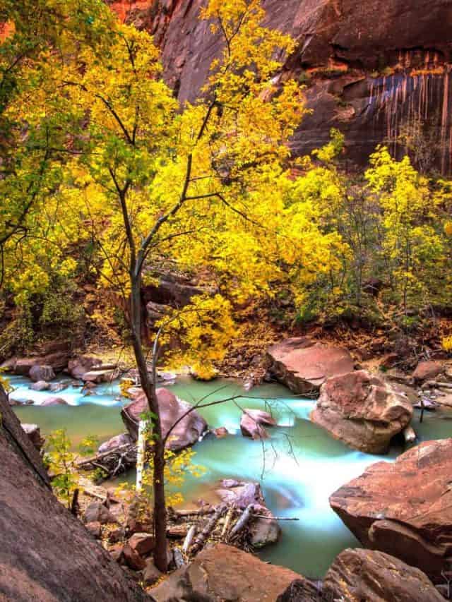 Zion National Park in Fall