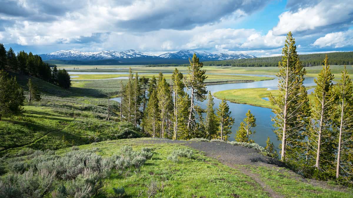 hayden valley in the yellowstone national park in wyoming in the usa