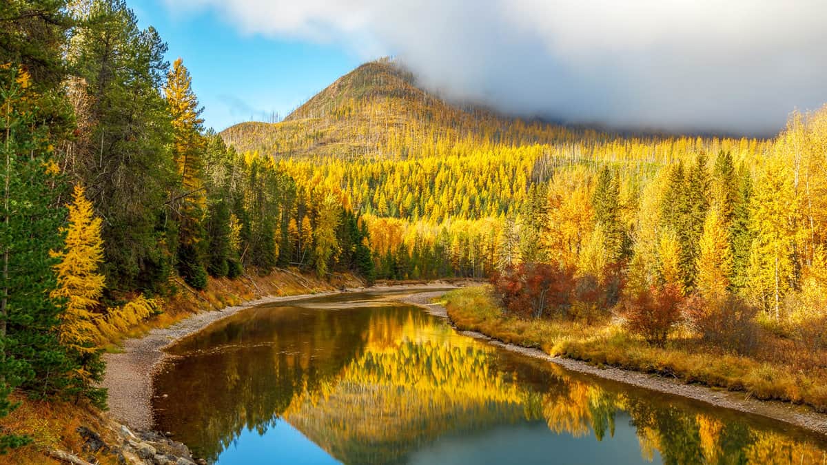mountain creek in autumn color, Glacier National Park, Montana
