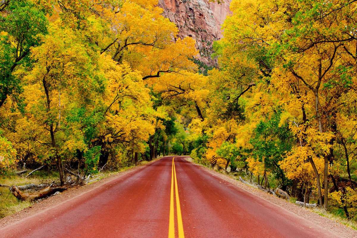 Driving into Zion National Park in Fall