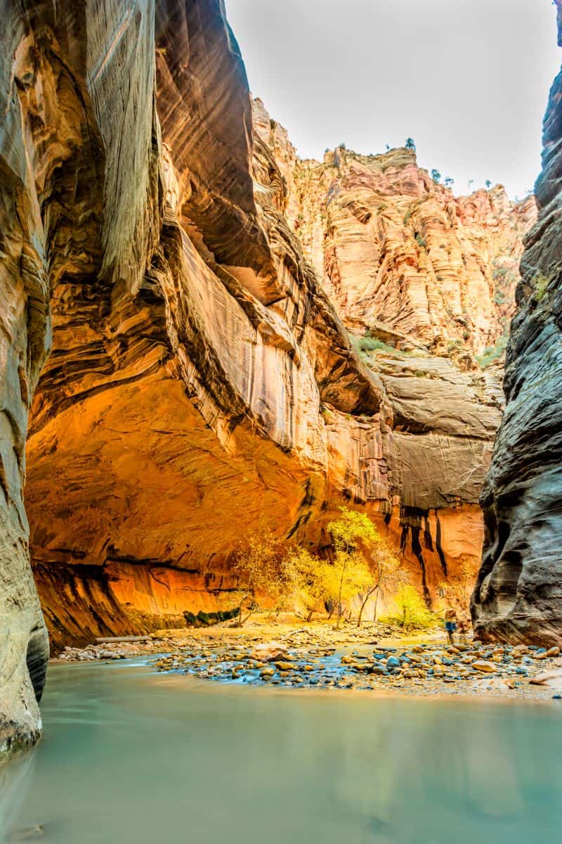 Virgin river in fall, Zion National Park
