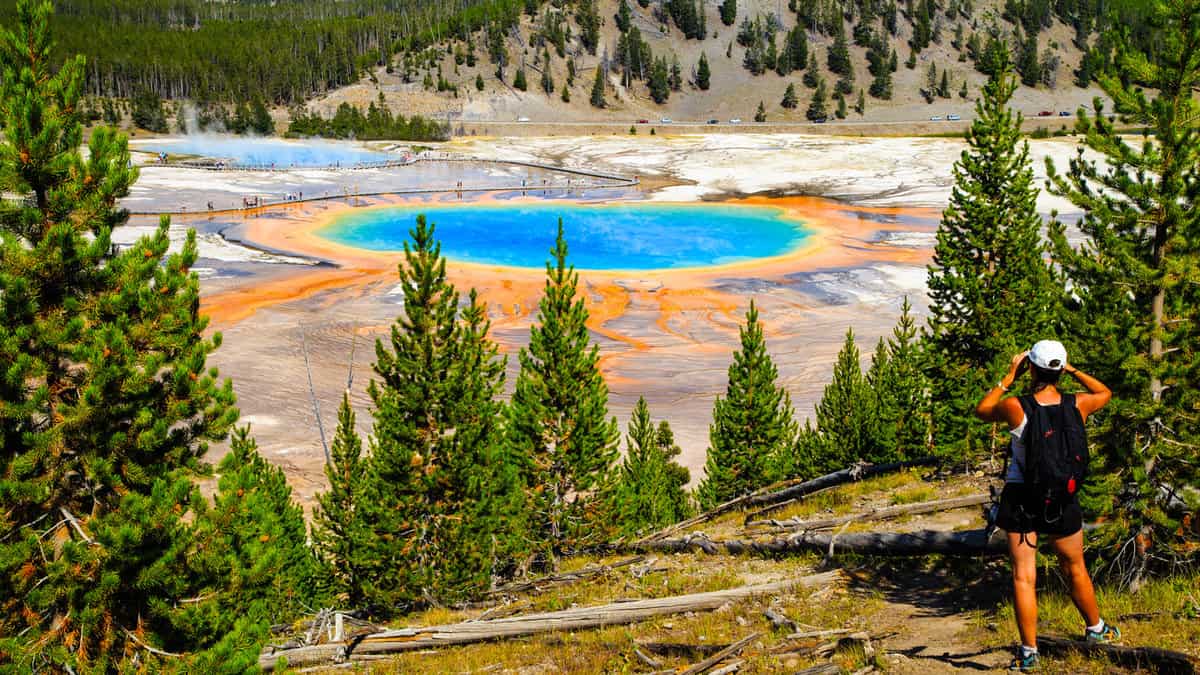 A hiker looking down on Yellowstone National Park's Grand Prismatic Spring in Yellowstone National Park, the largest hot spring in the United States, and the third largest in the world1600x900