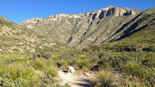Entrance to McKittrick Canyon in Guadalupe Mountains National Park, Texas1600x900