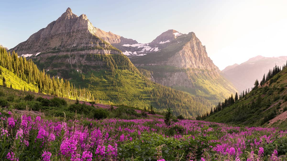 Majestic view over the Glacier National Park