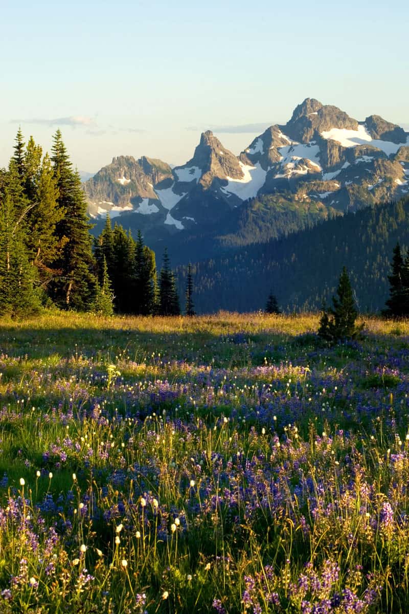 Mount Rainier National park, Washington
