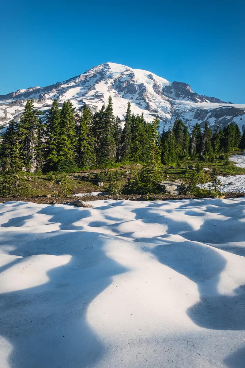 Mount Rainier with a snow and trees in the foreground