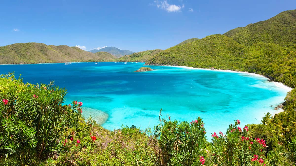 View above Cinnamon Bay with foreground flowers on the island of St. John in the United States Virgin Islands