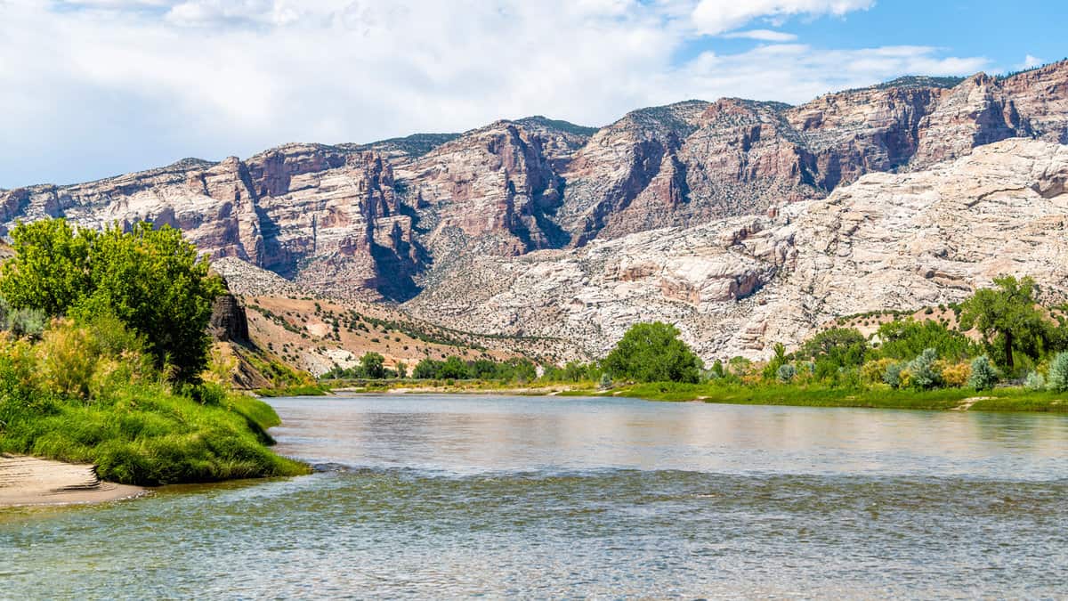 Water view on Green River Campground in Dinosaur National Monument Park with green plants and canyon