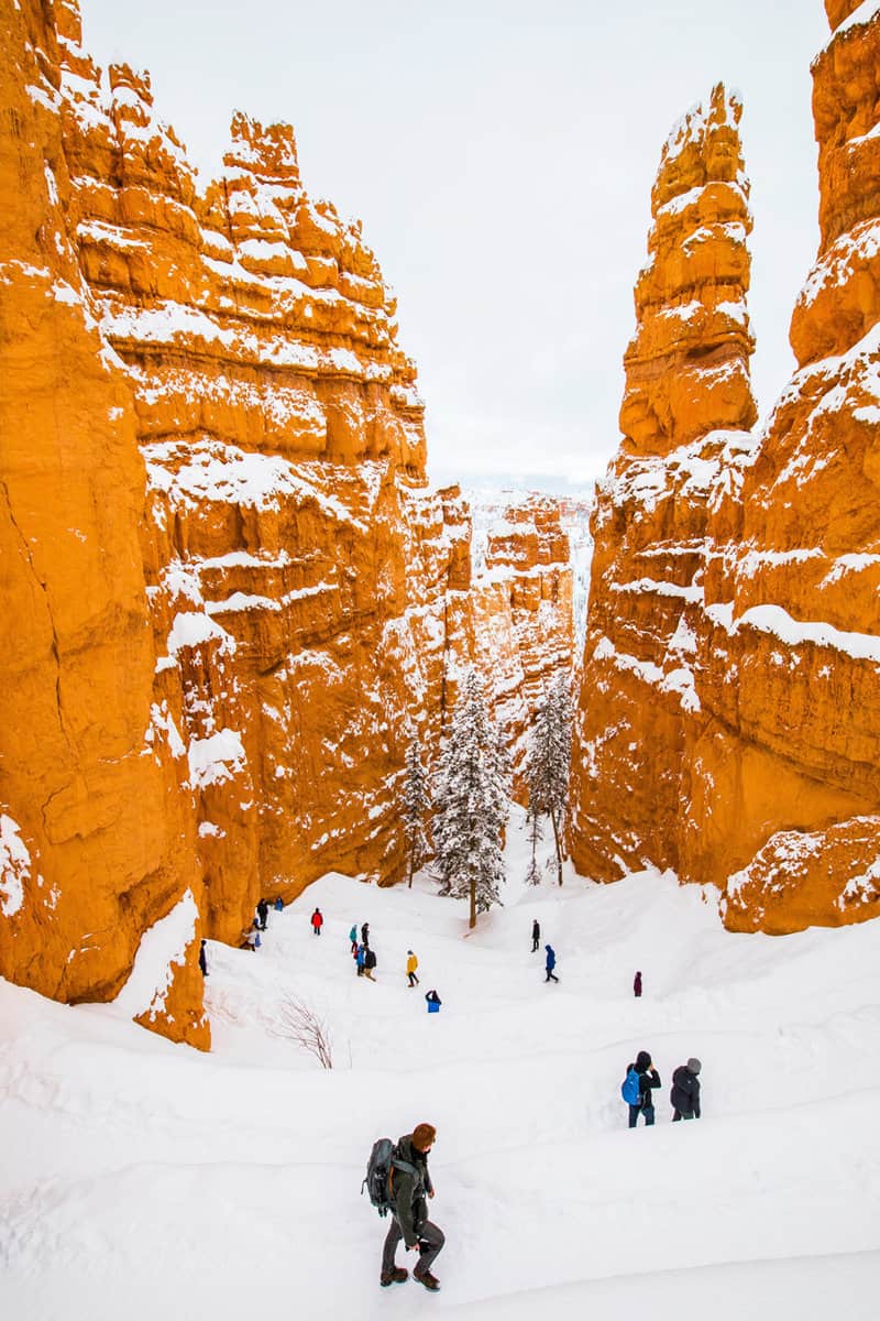 Winter landscape in Bryce Canyon National Park, United States Of America