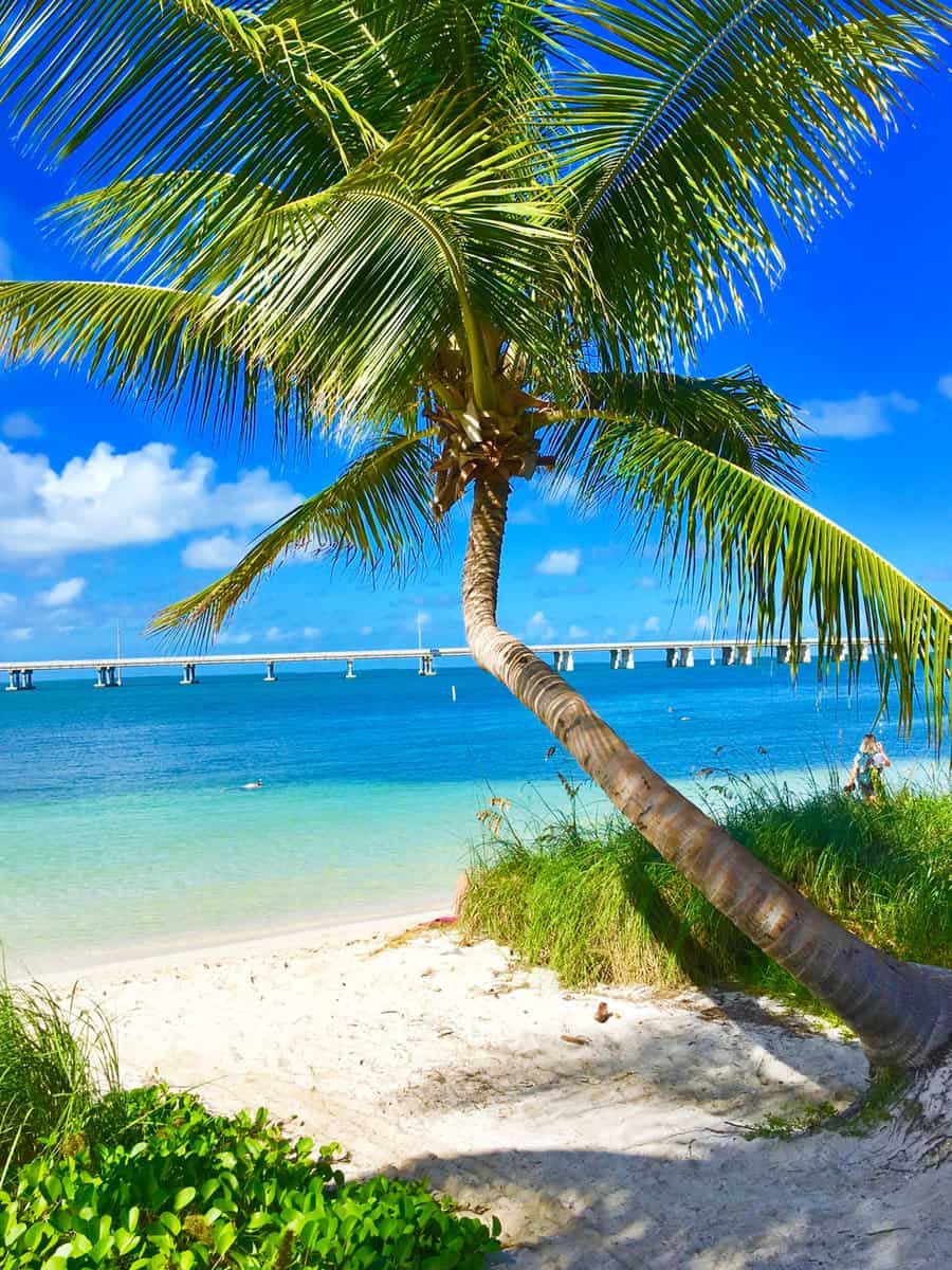 Palm view of Bahia Honda State Park, on Big Pine Key, Florida