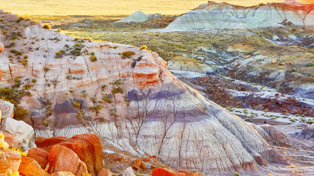 Scenic view of a landscape in the Painted Desert national park in Arizona, USA