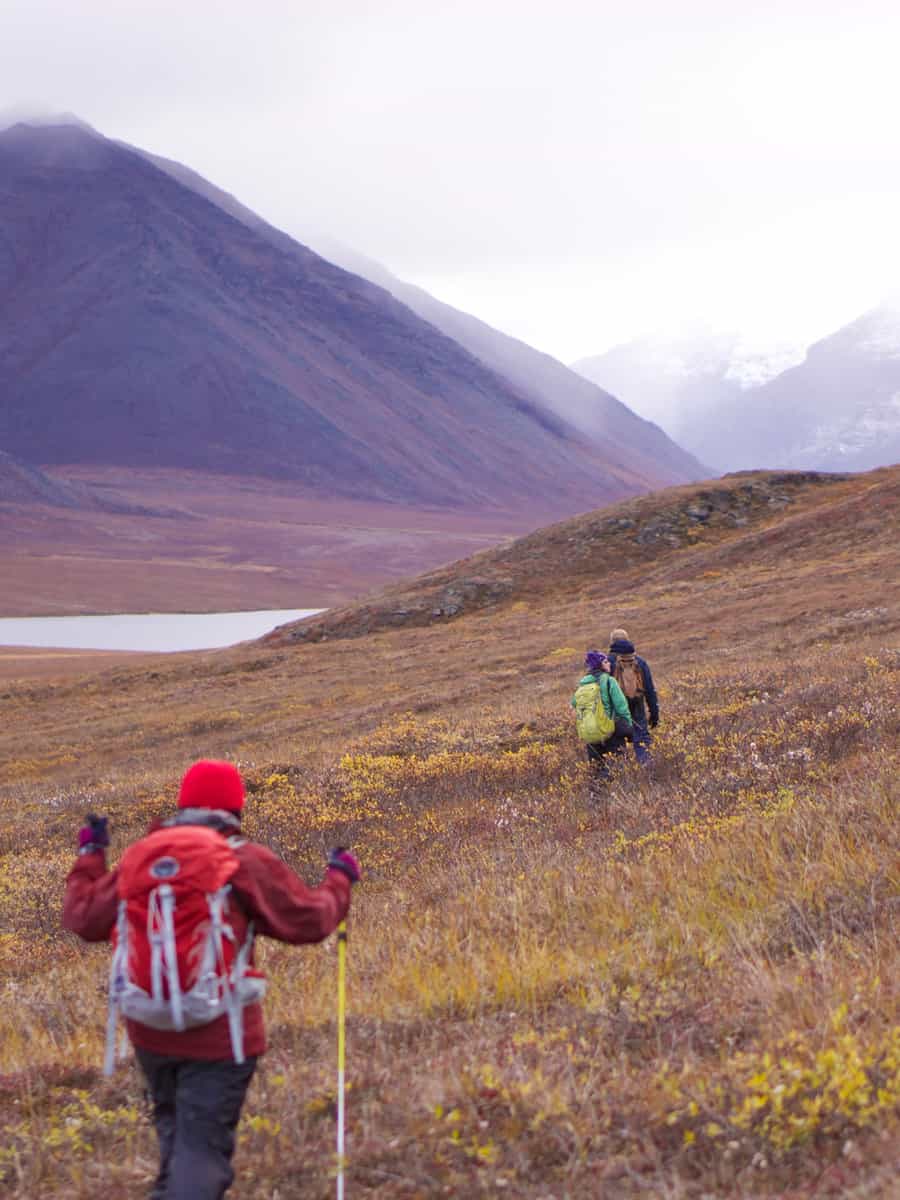 A scenery of people walking in the beautiful Gates of the Arctic National Park