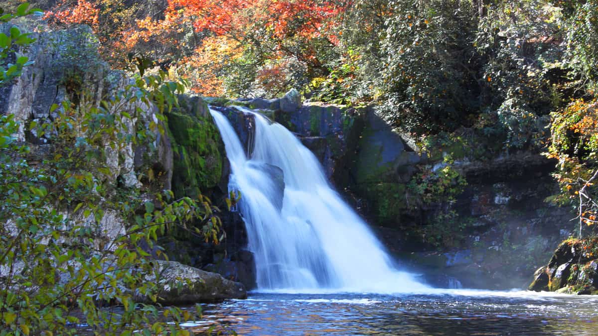 Abrams Falls flow in The Great Smoky Mountain National Park during autumn foliage near Cades Cove, Tennessee1600x900
