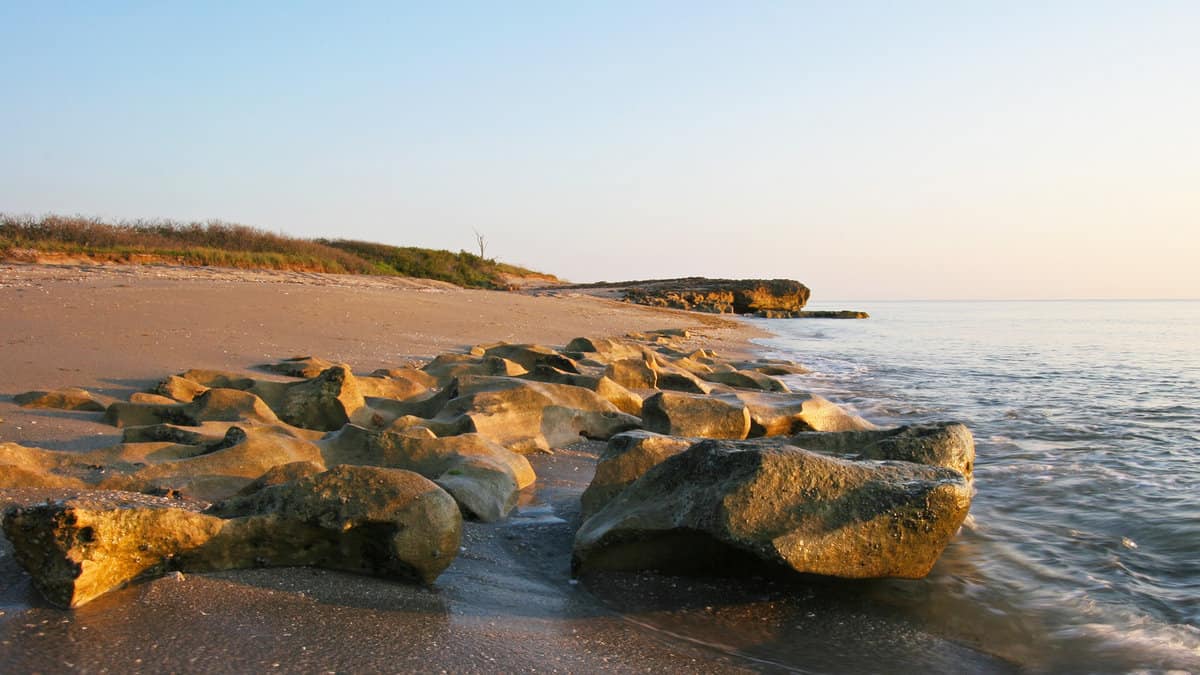 Anastasia limestone outcropping in Blowing Rocks Preserve on Jupiter Island, Florida on clear cloudless morning at low tide 1600x900