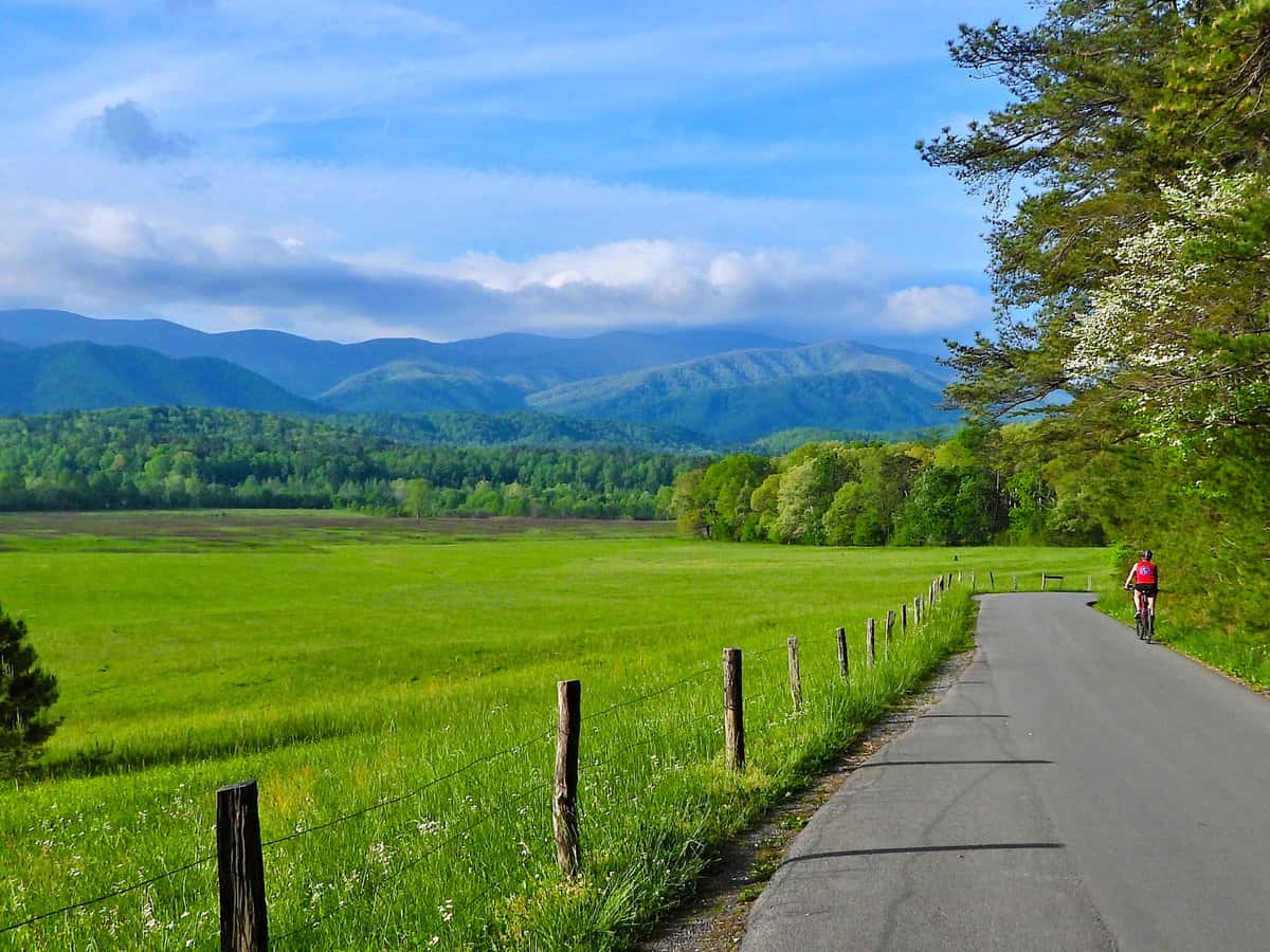 Bike Riding in Cades Cove, Great Smoky Mountain National Park
