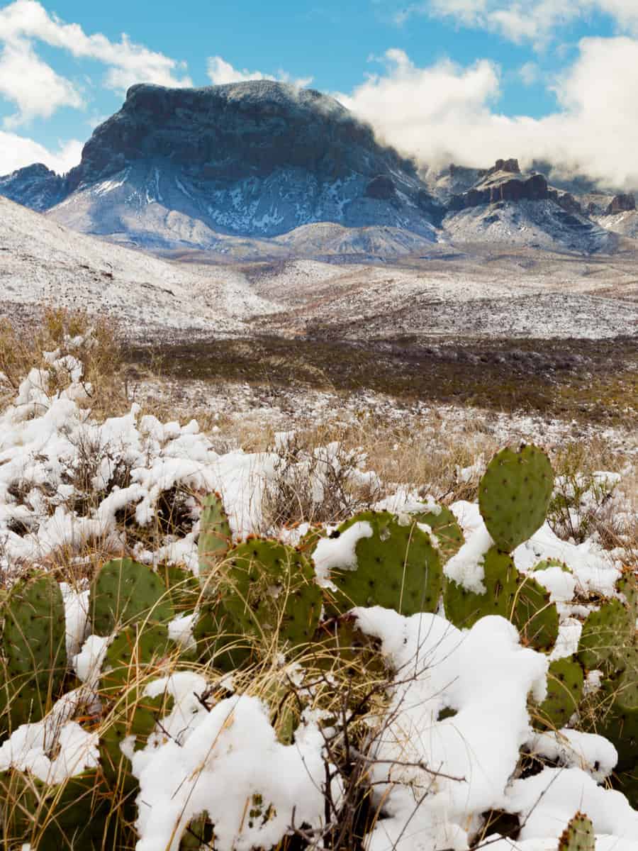 Chihuahuan desert snow and Chisos Mountains in Big Bend National Park, Texas, USA