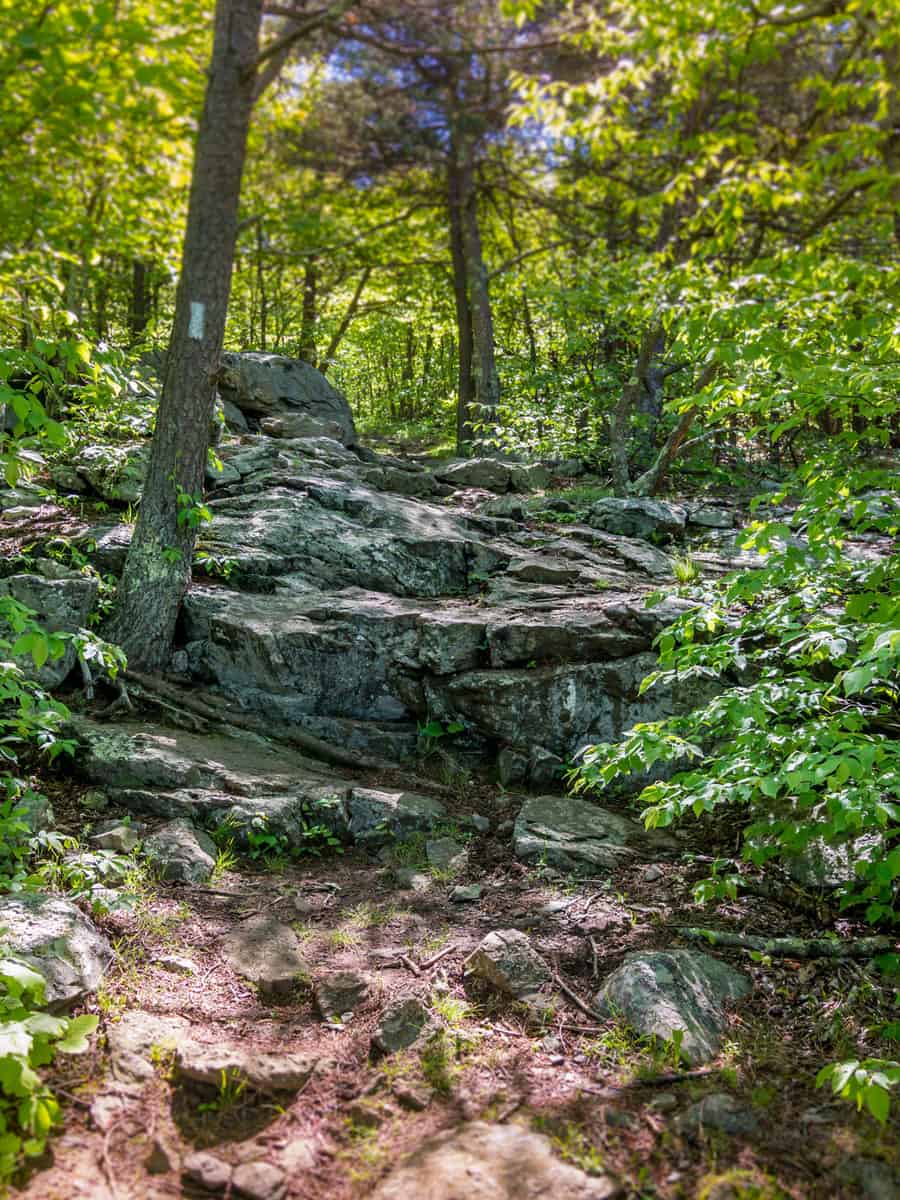Large rocks on the Appalachian Trail through the Great Smoky Mountain National Park