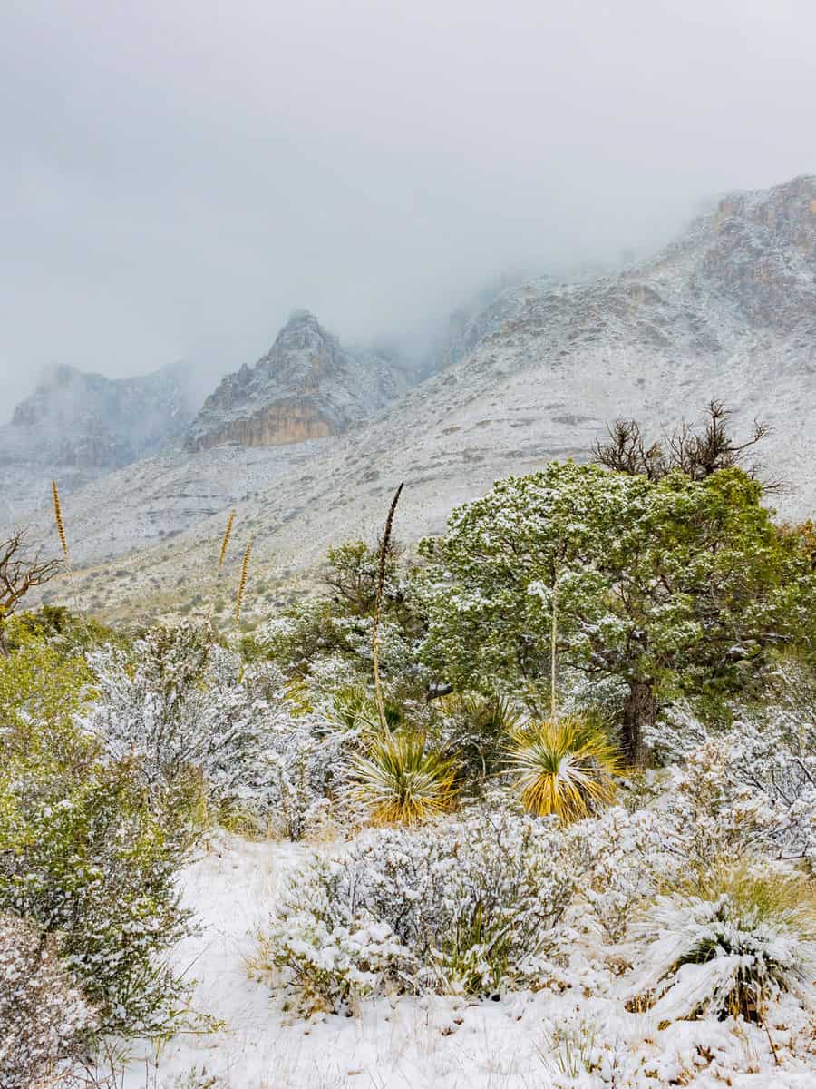 Overcast view of the landscape of Guadalupe Mountains National Park at Texas during winter
