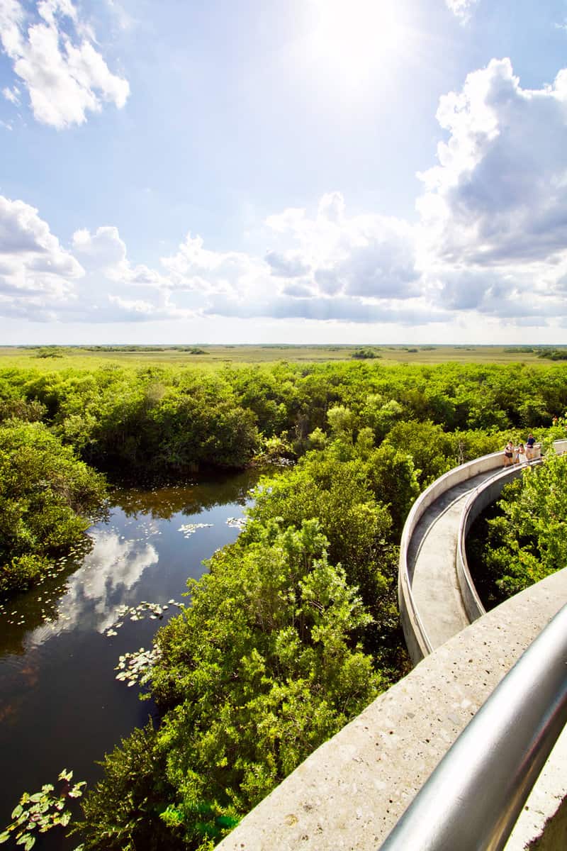 Shark Valley in the heart of the Everglades National Park