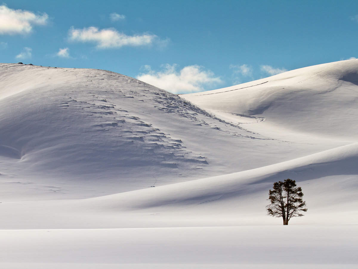 Untouched Hayden Valley in Snow Covered Yellowstone National Park