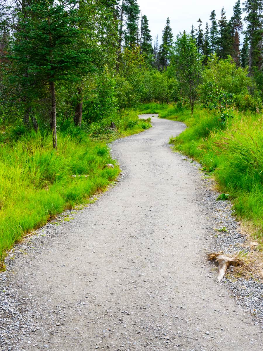 Wide gravel path of the Brooks Falls Trail, Katmai National Park, Alaska