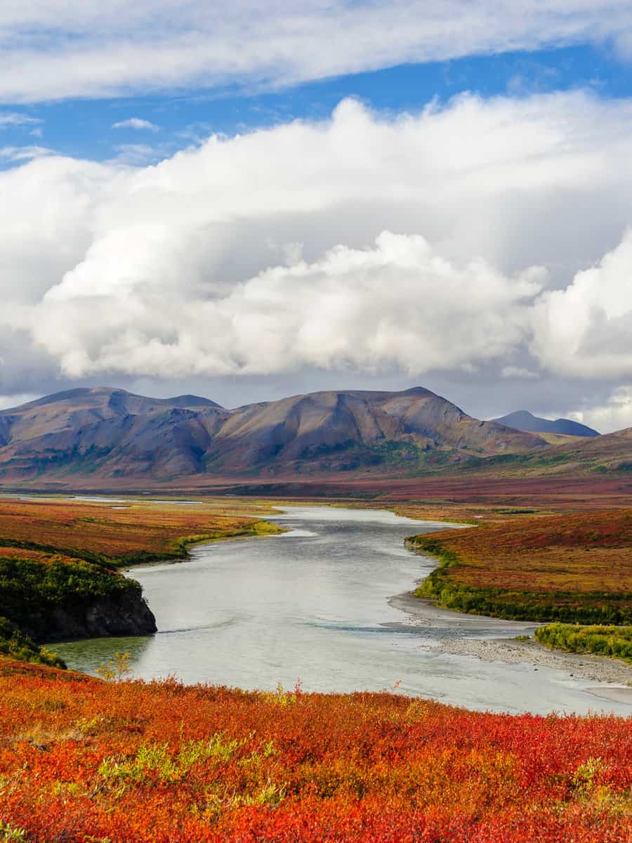 arctic tundra in autumn colors along the noatak river