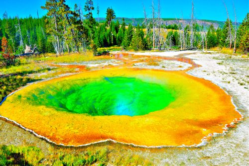 colorful Morning Glory geyser in Upper Geyser basin of Yellowstone National Park, Wyoming 1600x900