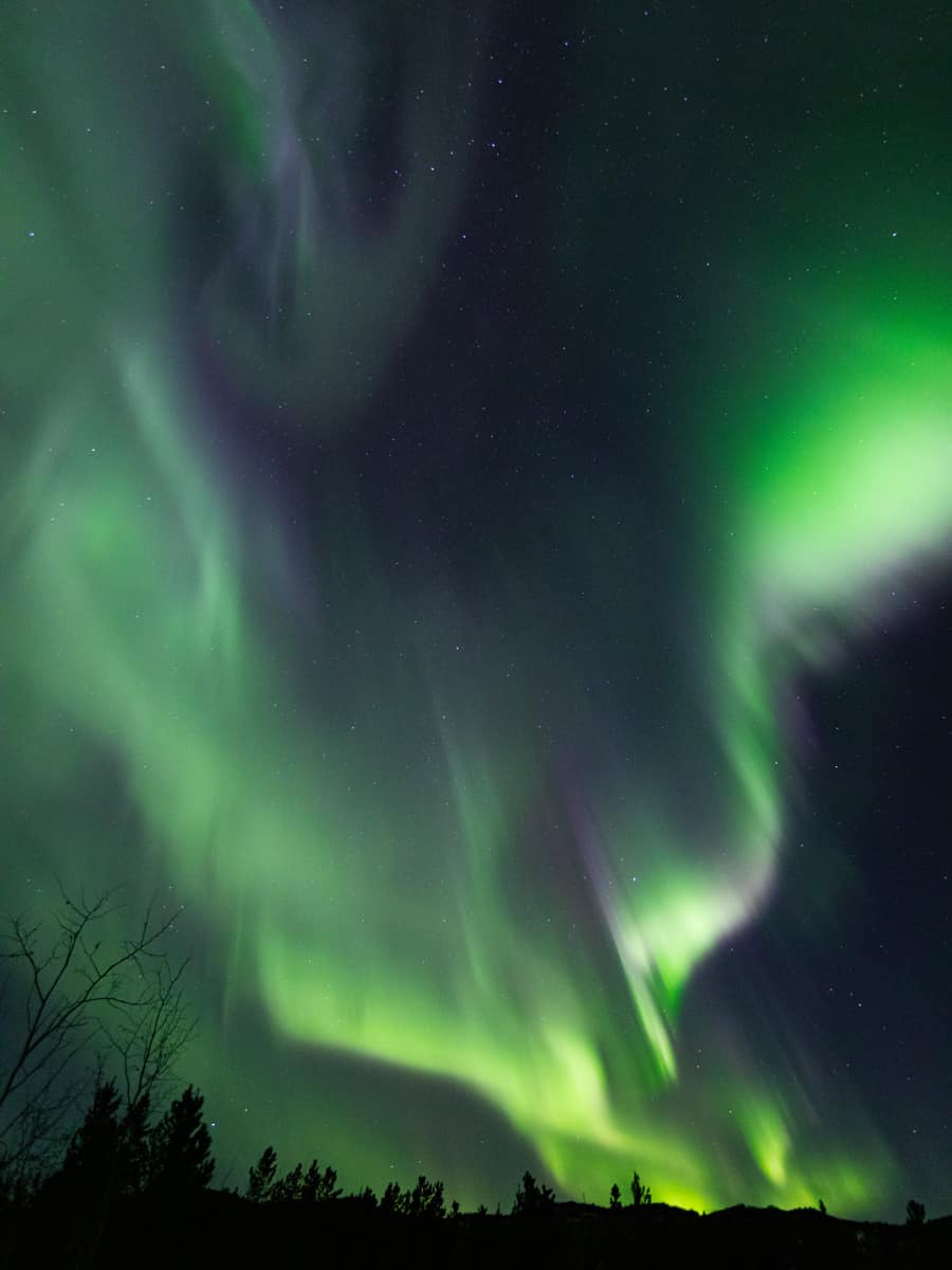 the northern lights streaking through the skies of the yukon in all their glory, the aurora borealis bright in the sky