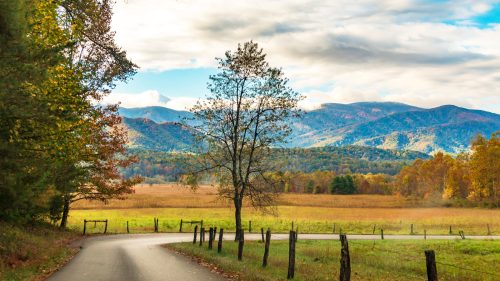 vibrant autumn landscape taken in Cades Cove valley in the Great Smoky Mountain national Park in Tennessee