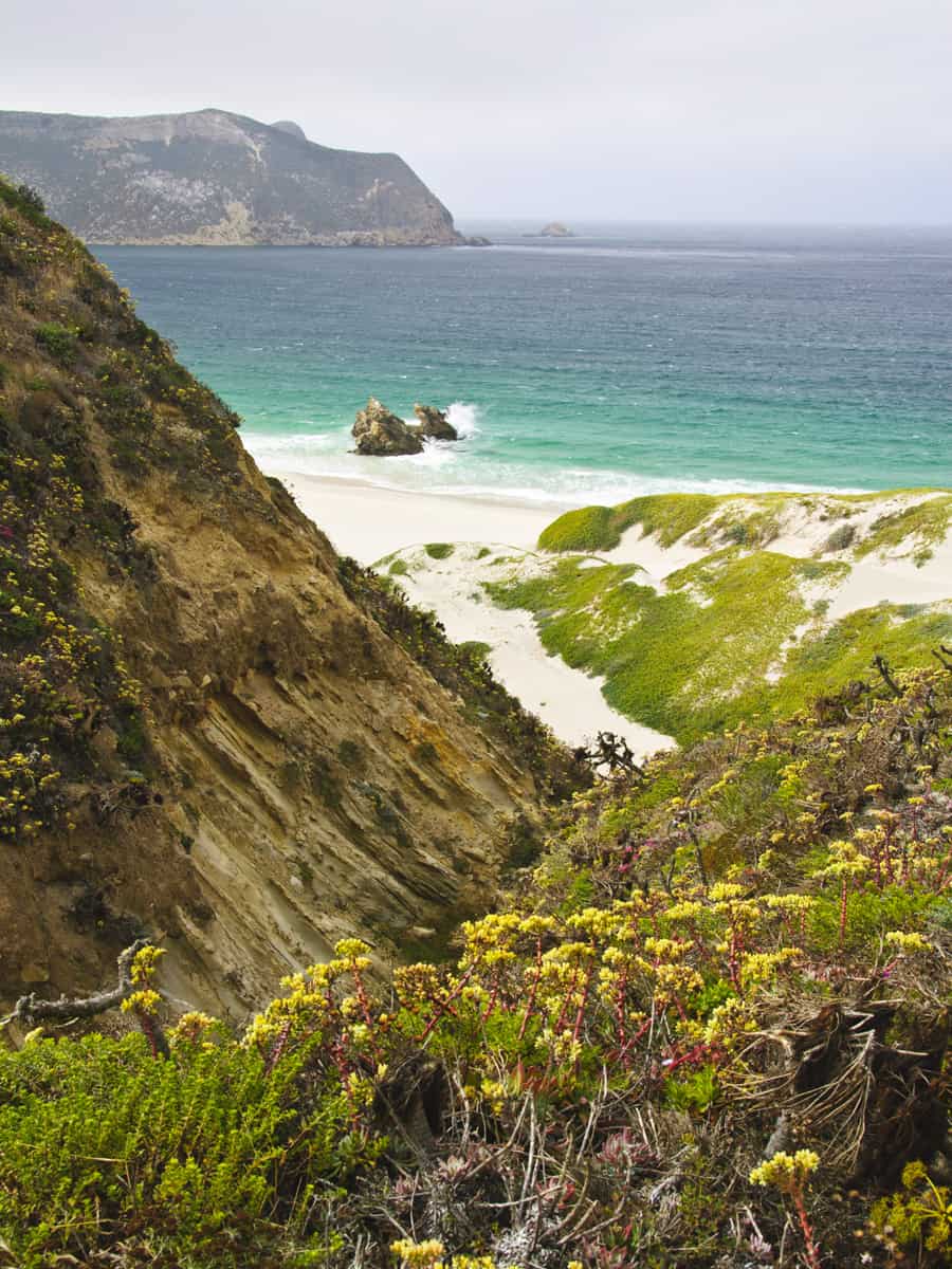 Beach on San Miguel Island, Channel Island National Park, California
