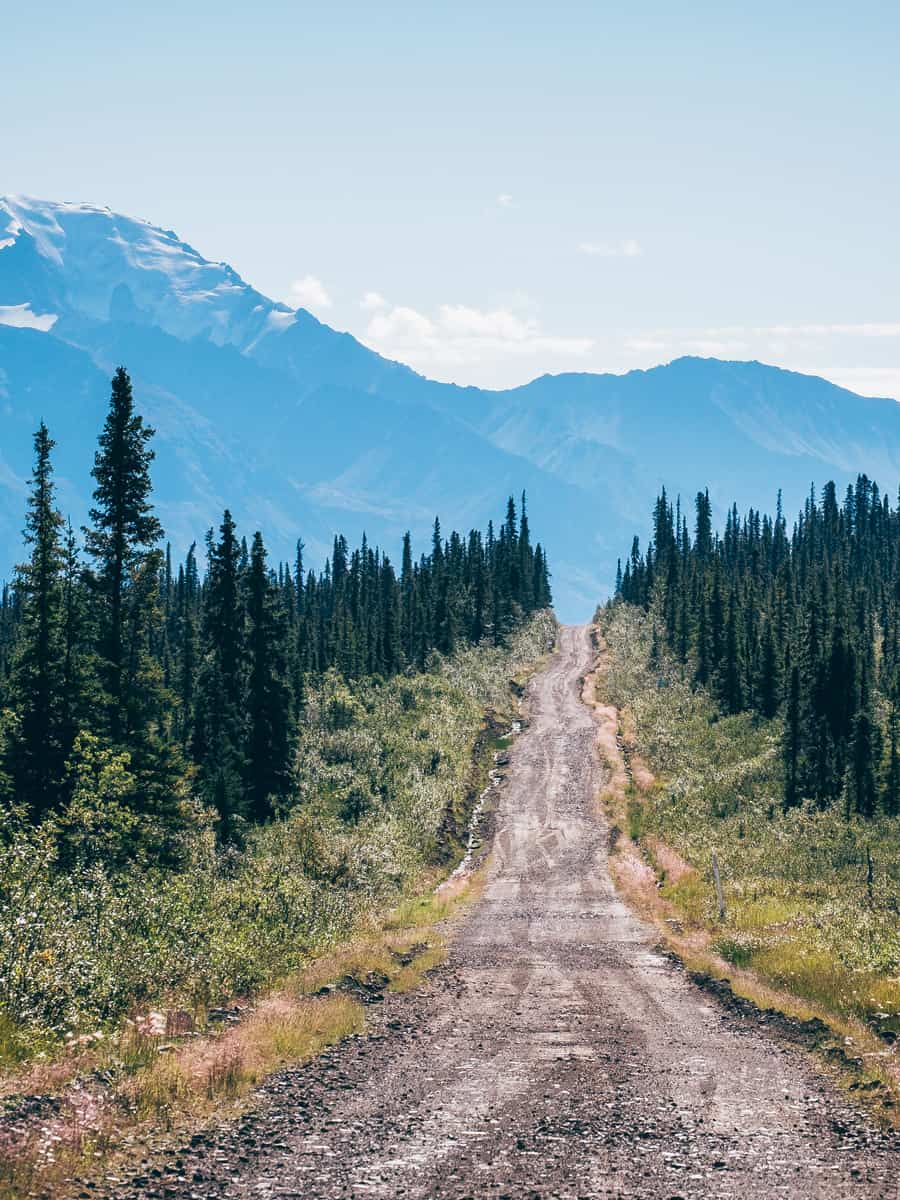 Driving towards Nabesna on the unpaved, beautiful and wildlife-full road, in Wrangell-St.Elias National Park