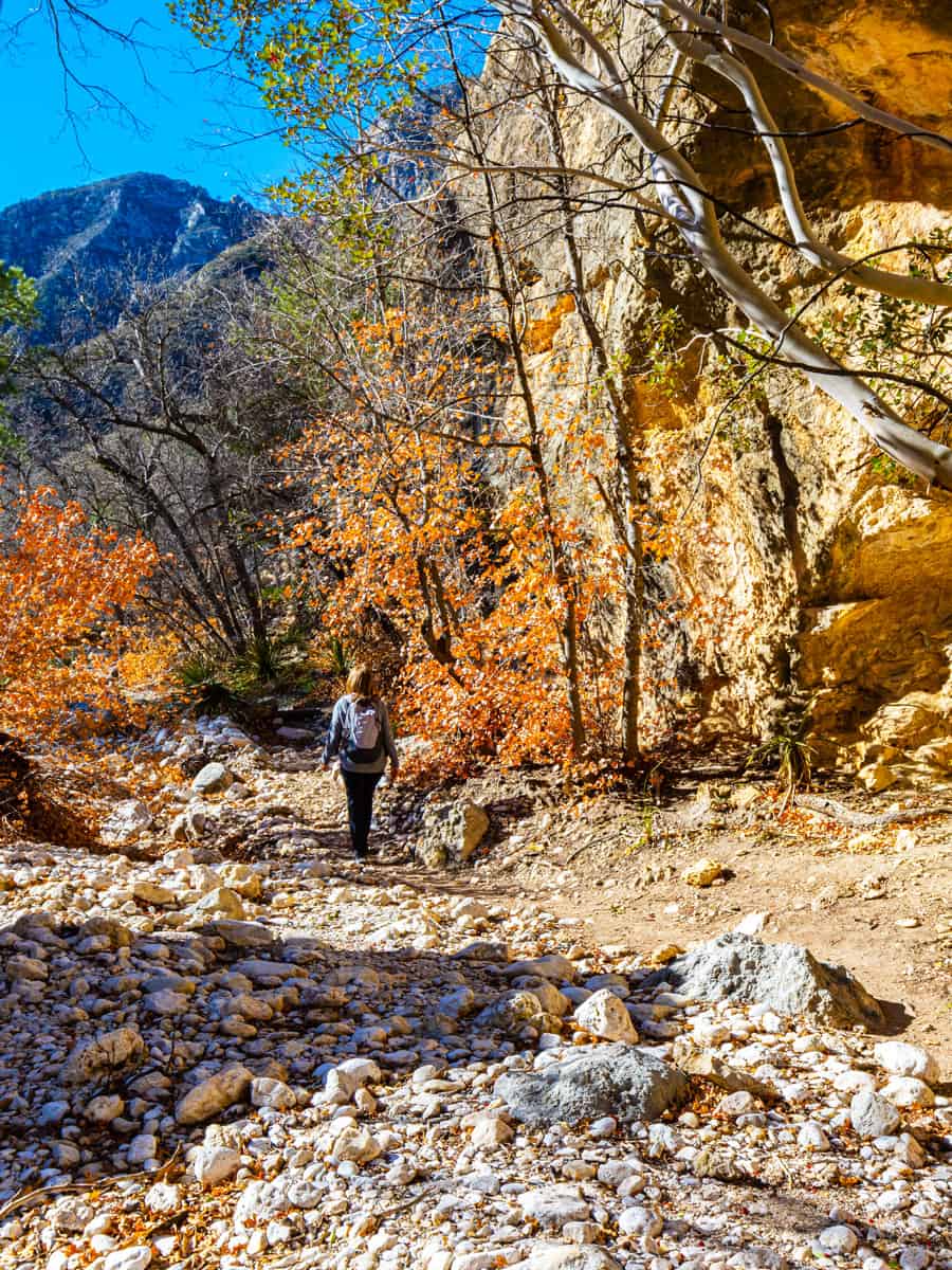 Female Hiker on The McKittrick Canyon Trail, Guadalupe Mountains National Park, Texas, USA