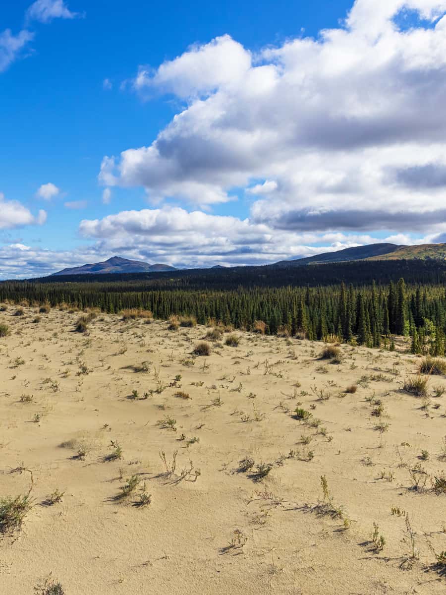 Landscape view of the Great Kobuk Sand Dunes in Kobuk Valley National Park in the arctic of Alaska.