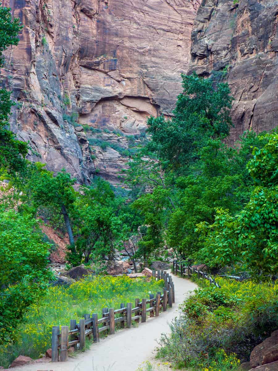 Riverside walk, Zion National Park, Utah