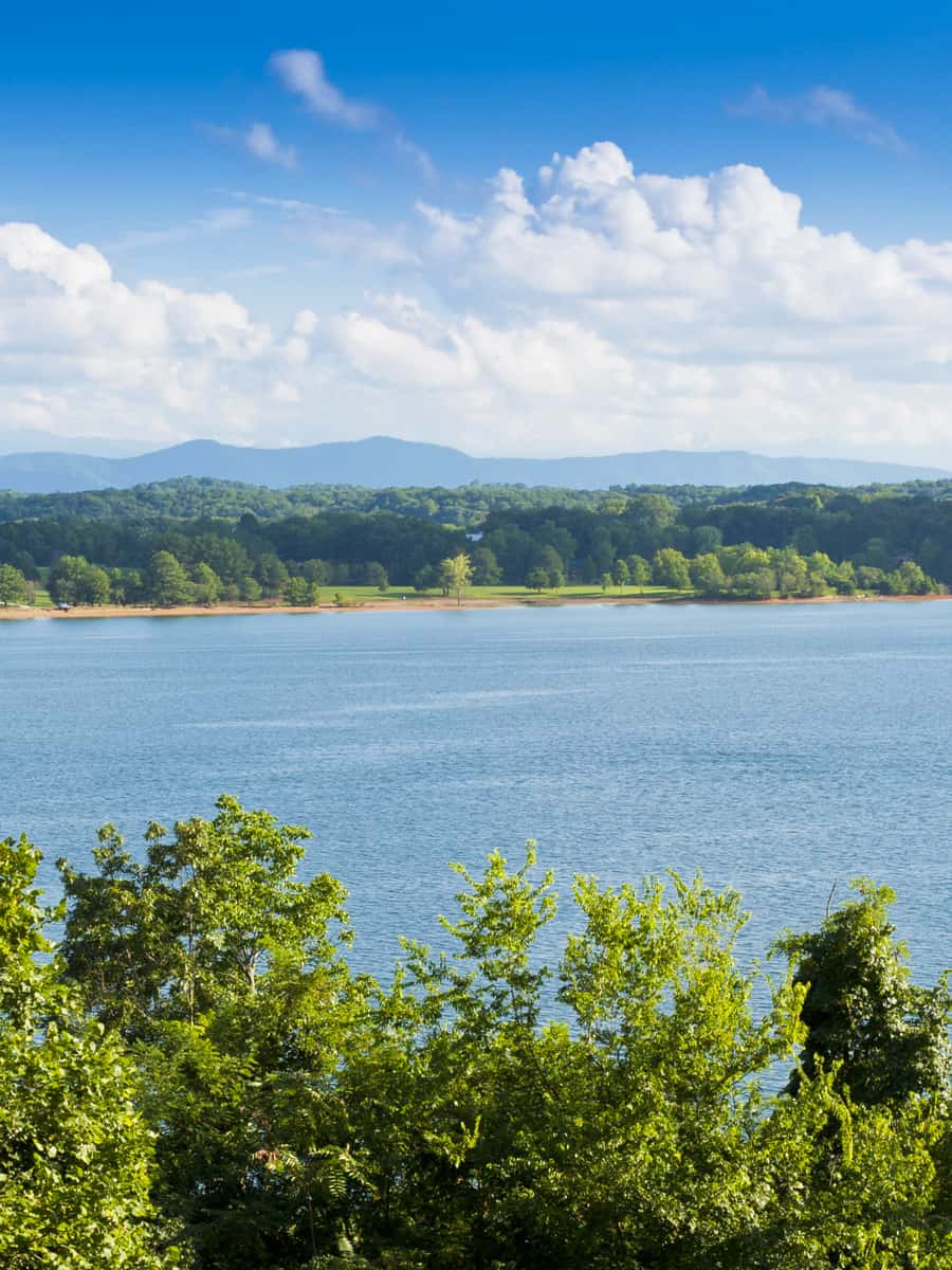 Summer view of Douglas lake in state Tennessee, USA