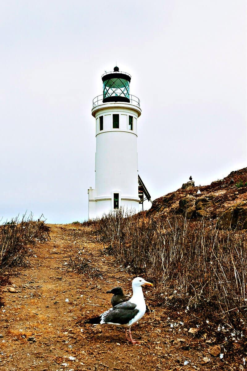 The Anacapa Island Lighthouse, built in 1912, was the last major light station built on the west coast.