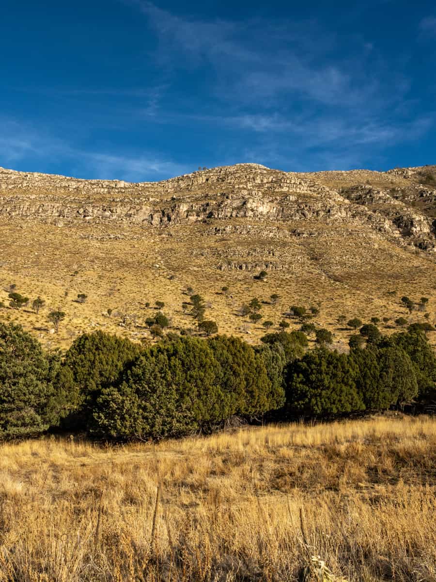 Walls Rising Over Dog Canyon In Guadalupe Mountains National Park