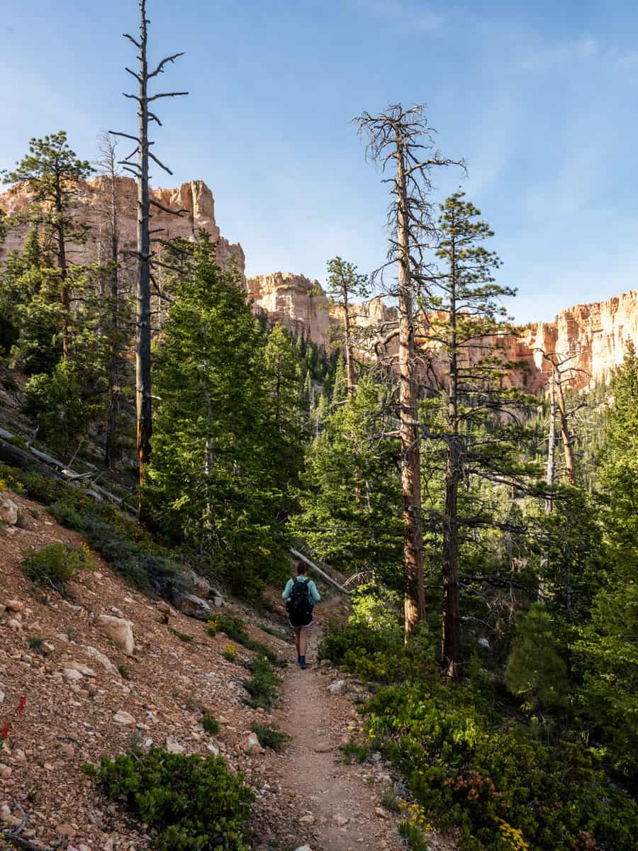 Woman Hikes the Riggs Spring Loop in Bryce Canyon National Park