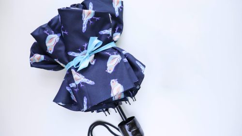 female umbrella on a white background 1600x900 1600x900