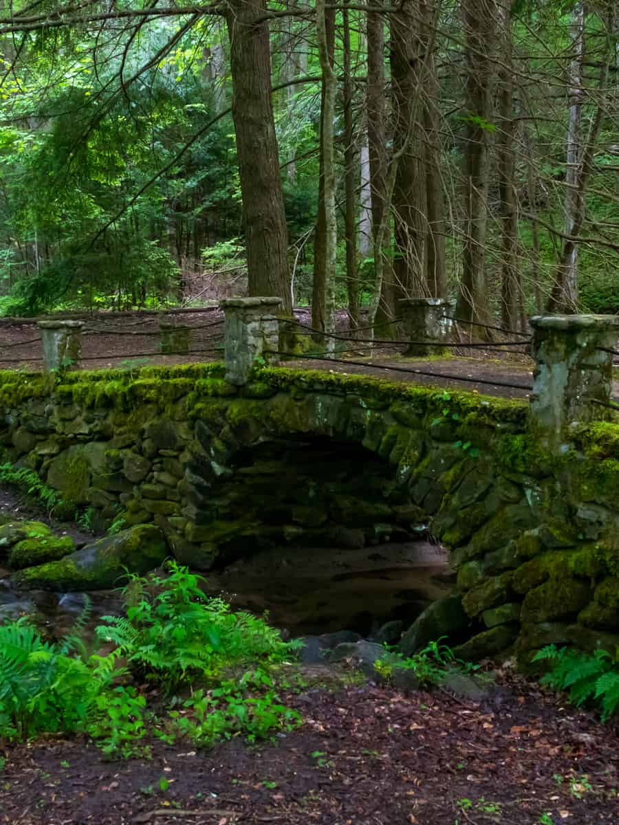 troll bridge at elkmont over stream in the Great Smoky Mountains National Park