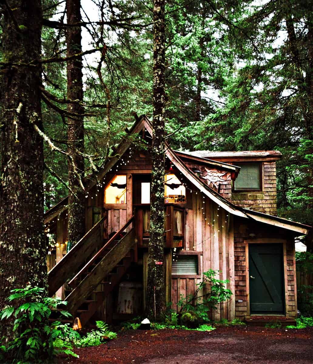 A warm cozy cabin in the rain forest of Alaska near Seward