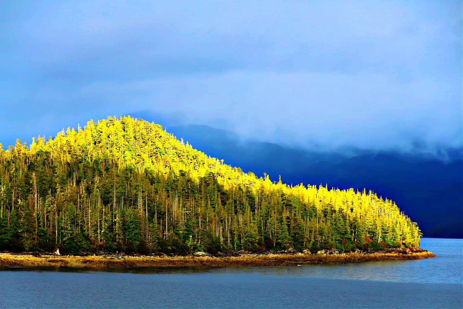 Coastal landscape in Magoun Islands State Marine Park Sitka, Alaska