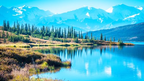Denali National Park and Wonder lake with Mountain Background 1600x900